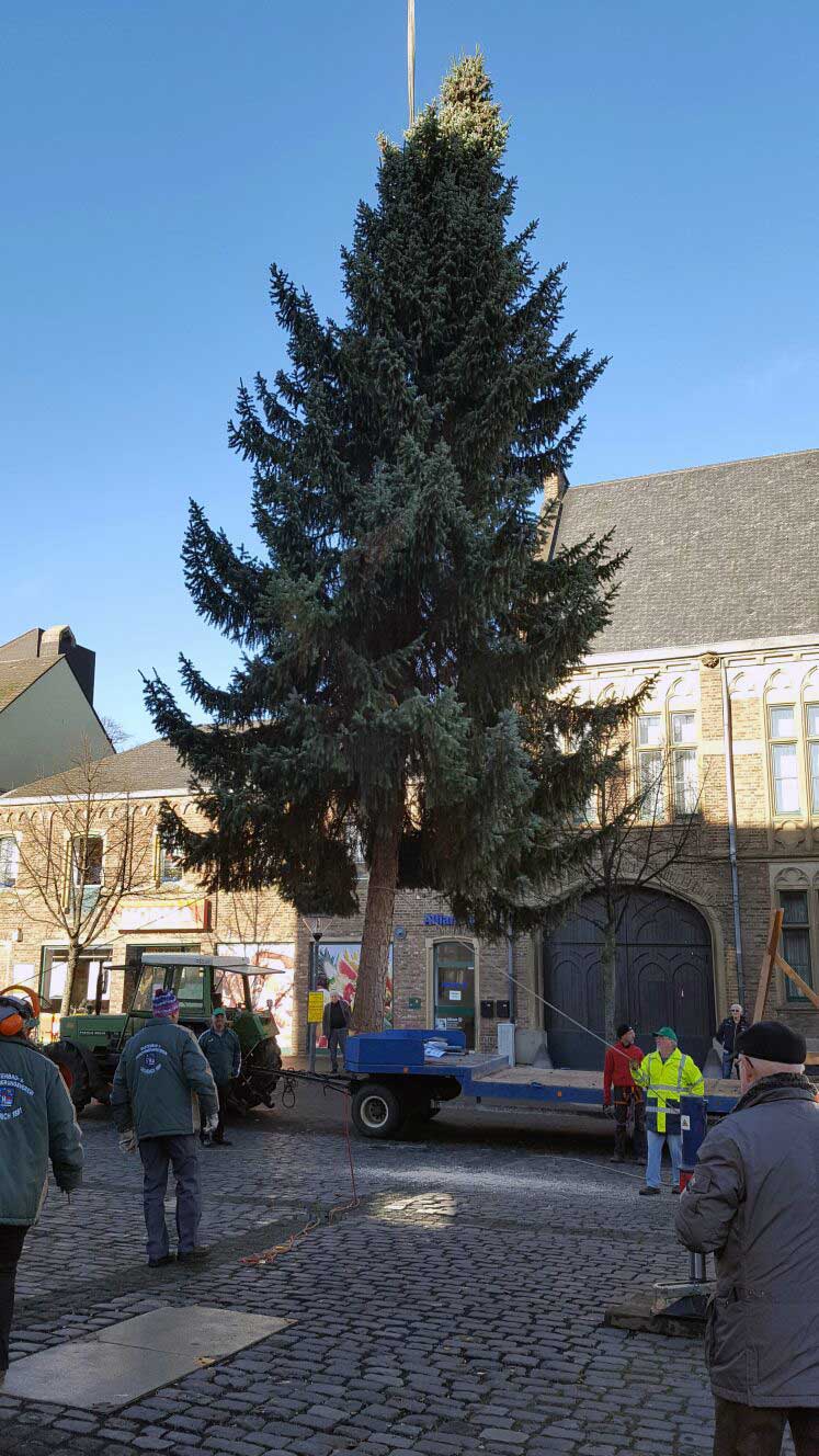 Aufstellung Weihnachtsbaum 2016