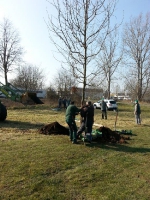 135 Jahre Gartenbauverein - Baum Anpflanzung 2016