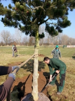 135 Jahre Gartenbauverein - Baum Anpflanzung 2016