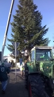 Weihnachtsbaum_2014_08