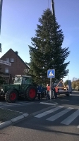 Weihnachtsbaum_2014_10