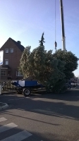 Weihnachtsbaum_2014_13
