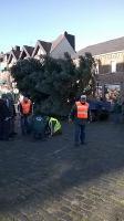 Weihnachtsbaum_2014_18