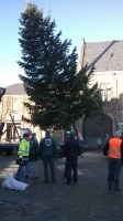 Weihnachtsbaum_2014_19