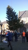 Weihnachtsbaum_2014_20