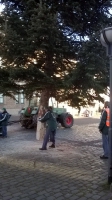 Weihnachtsbaum_2014_22