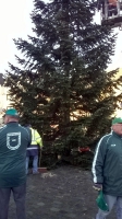 Weihnachtsbaum_2014_24