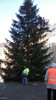 Weihnachtsbaum_2014_25