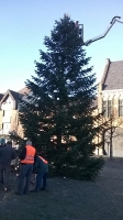 Weihnachtsbaum_2014_26