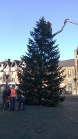 Weihnachtsbaum_2014_27