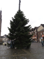 Weihnachtsbaum2