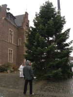 Weihnachtsbaum3