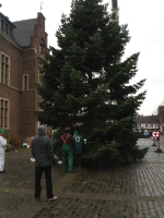 Weihnachtsbaum4