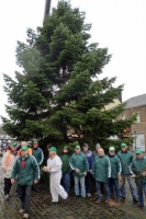 Weihnachtsbaum8