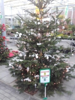 Kreismeisterschaft im Weihnachtsbaumschmücken 11.12.2016
