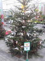 Kreismeisterschaft im Weihnachtsbaumschmücken 03