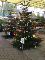 Kreismeisterschaft im Weihnachtsbaumschmücken 12