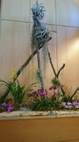 Orchideen_2015_0349
