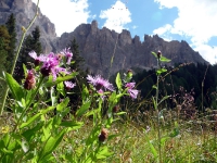 Südtirol 2