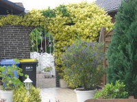 Familie Badorf 11