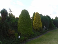 Familie Bergerhausen 04