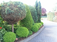Familie Bergerhausen 08