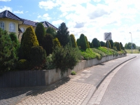 Familie Bergerhausen 10