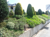 Familie Bergerhausen 11