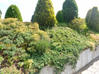 Familie Bergerhausen 12