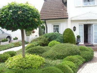 Herr Morawietz 11