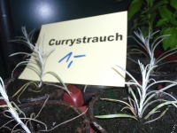 Verkauf 11