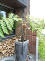 Brämer 201315