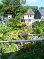 Giesecke11