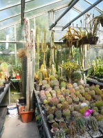 Giesecke3
