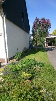Sürth 03
