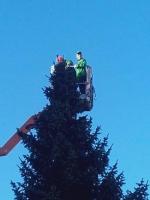 Weihnachtsbaum 2016 05