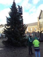 Weihnachtsbaum 2016