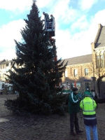 Weihnachtsbaum 2016 07