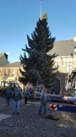 Weihnachtsbaum 2016 17