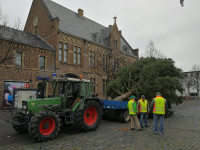 Weihnachtsbaum 2021