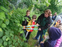 18 - Zwergengruppe 03-06-2012