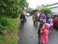 29 - Zwergengruppe 03-06-2012