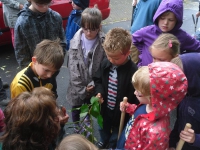 32 - Zwergengruppe 03-06-2012