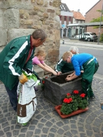 Bepflanzung 2015.17