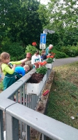 Bepflanzung 2015.4