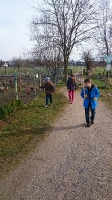 Müllsammeln in Lechenich 7. März 2015 7