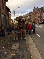 Zwerge 2016 21